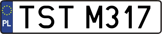 TSTM317