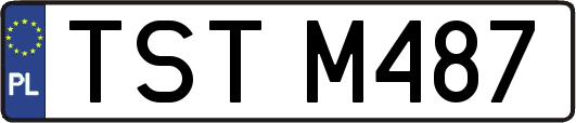 TSTM487