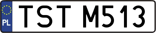 TSTM513