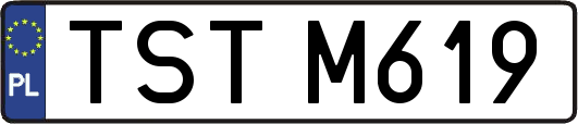 TSTM619