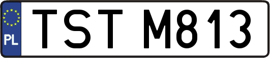 TSTM813