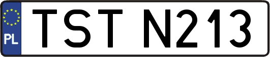 TSTN213