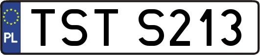 TSTS213