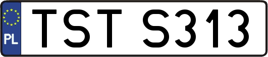 TSTS313