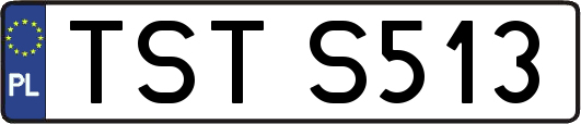 TSTS513