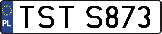 TSTS873