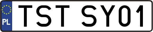 TSTSY01
