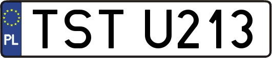 TSTU213