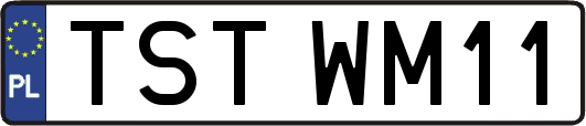 TSTWM11