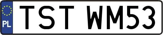 TSTWM53