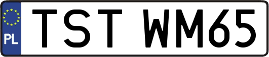 TSTWM65