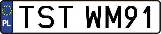 TSTWM91