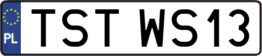 TSTWS13