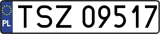 TSZ09517