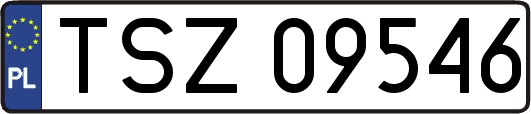 TSZ09546