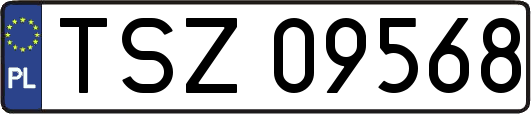TSZ09568
