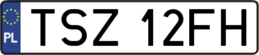 TSZ12FH