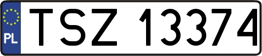 TSZ13374