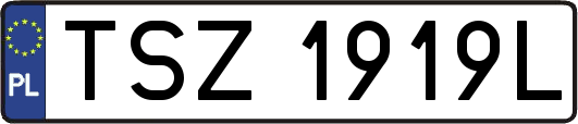 TSZ1919L