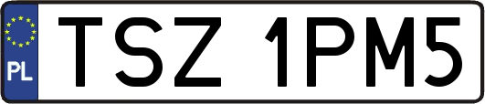 TSZ1PM5