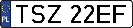 TSZ22EF