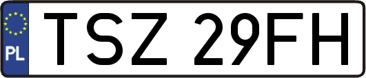 TSZ29FH