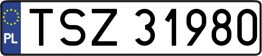 TSZ31980