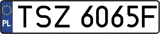 TSZ6065F