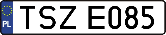 TSZE085