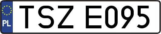 TSZE095