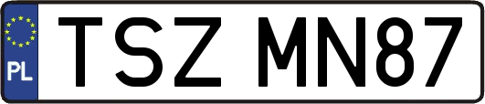 TSZMN87
