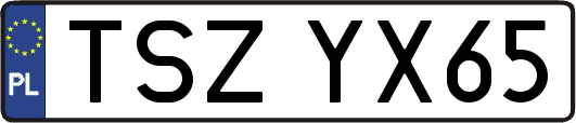 TSZYX65
