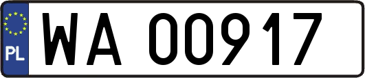 WA00917