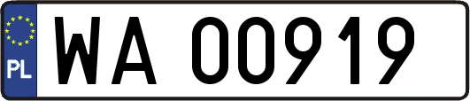 WA00919