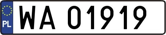 WA01919