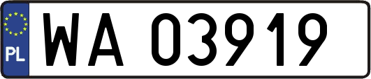 WA03919