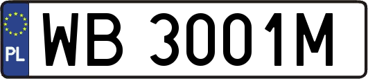 WB3001M