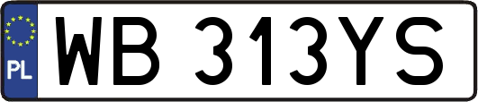 WB313YS
