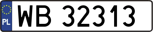 WB32313