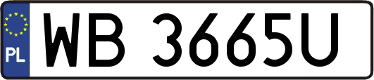 WB3665U