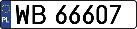 WB66607
