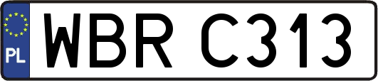 WBRC313