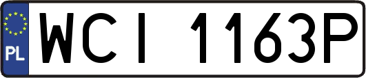 WCI1163P