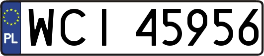 WCI45956