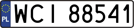 WCI88541