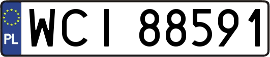 WCI88591