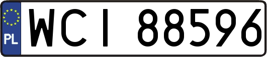 WCI88596