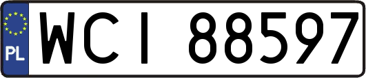 WCI88597