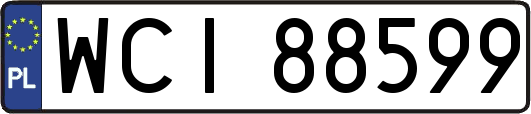 WCI88599