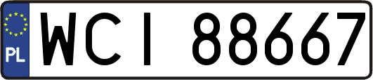 WCI88667